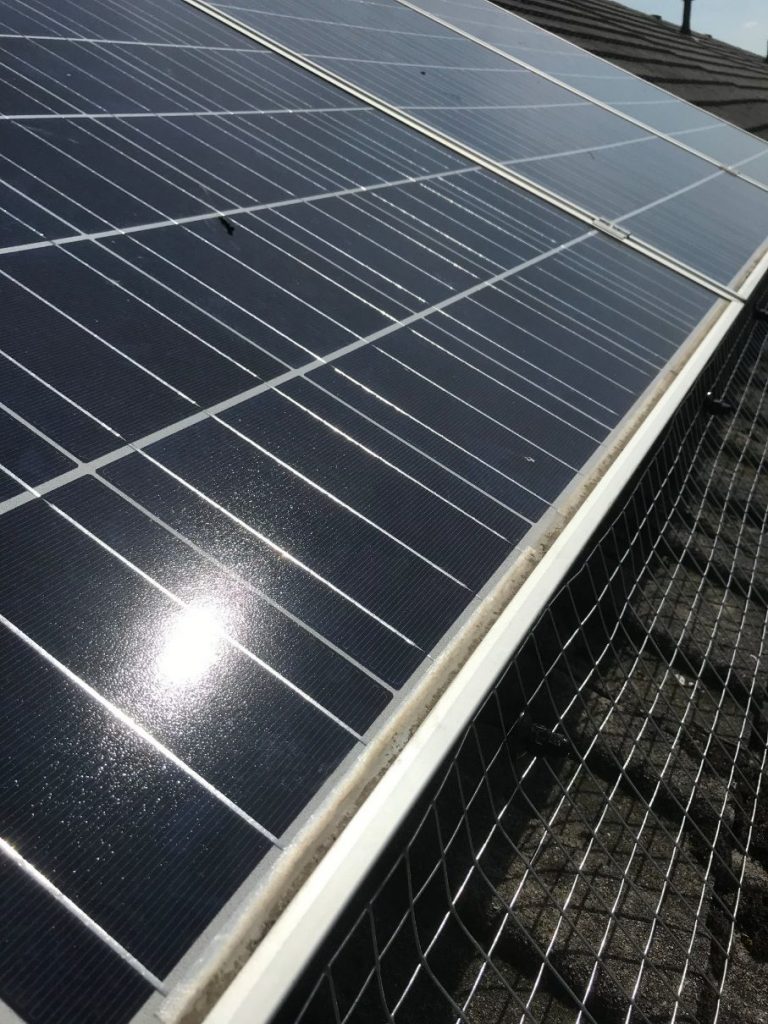 solar proofing bird panels client
