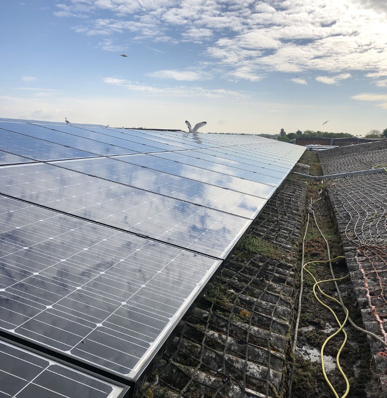 solar panels clean in Chichester