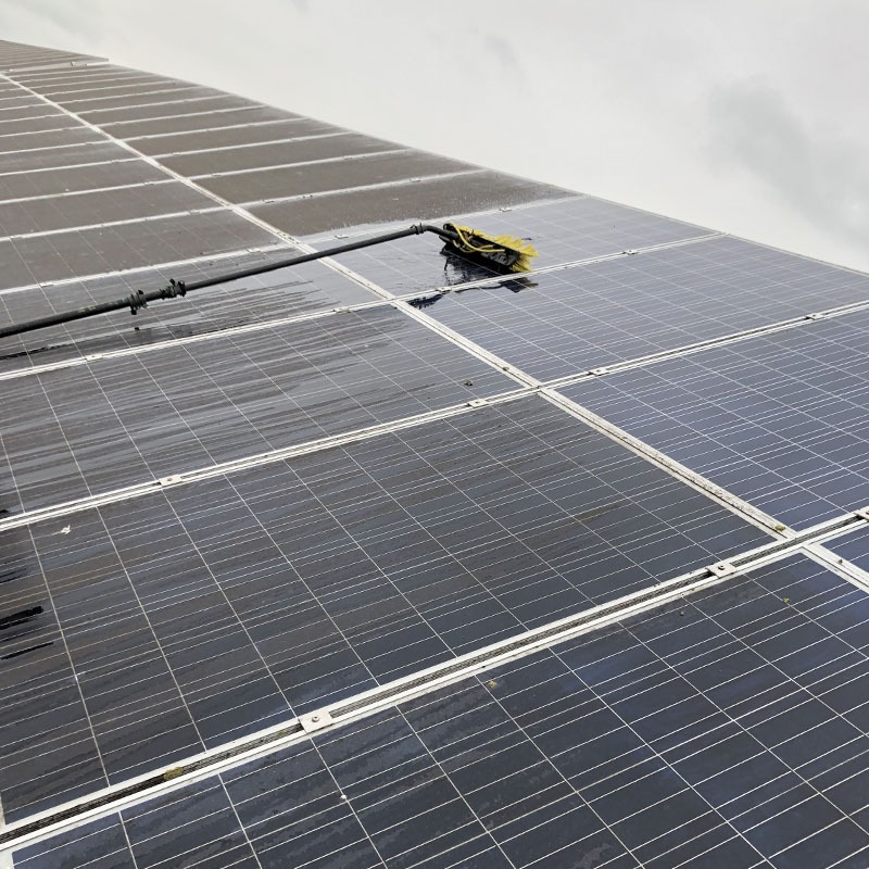 Solar panel clean in Dorchester