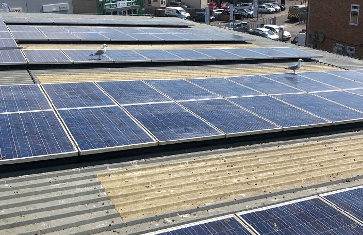 Commercial solar clean on panels